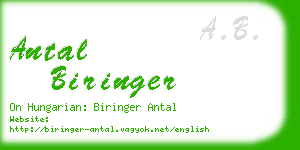 antal biringer business card